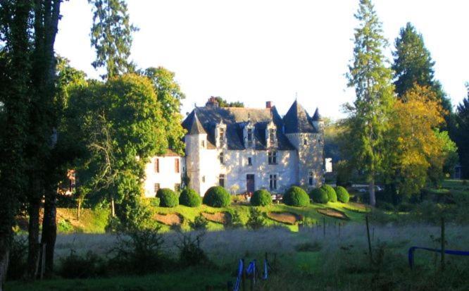 Bed and Breakfast Manoir De La Remoniere Azay-le-Rideau Exterior foto